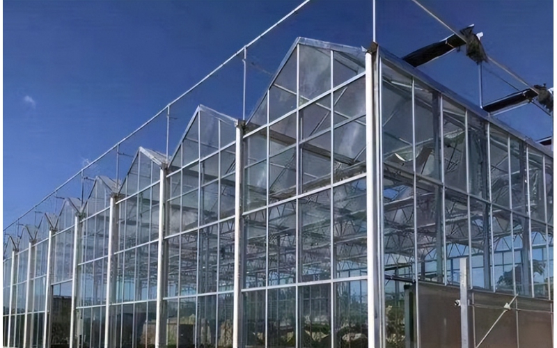 玻璃溫室